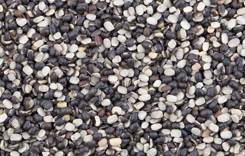 Black Gram - Urad Dal